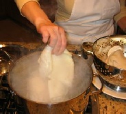 trippa tripe roman xy02 trippa tripe roman xy02